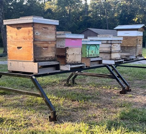 Bee Ez Apiary
