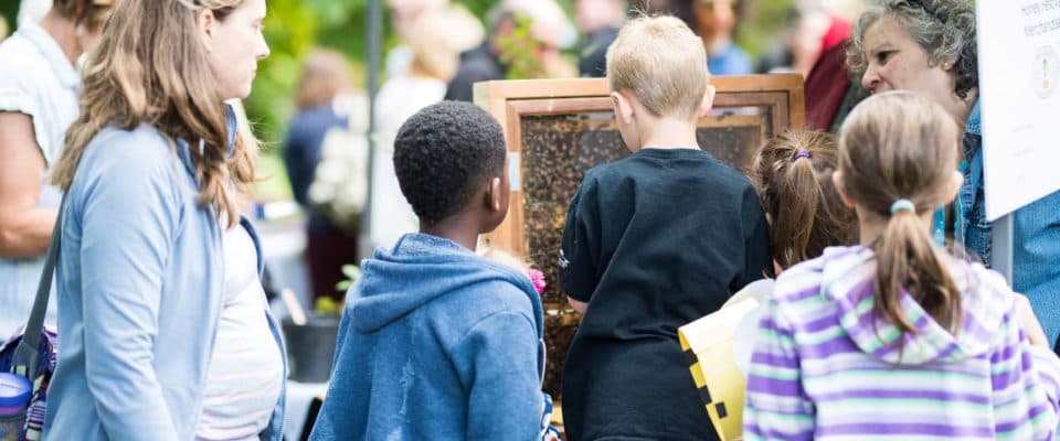 Philadelphia Honey Festival - Image 1