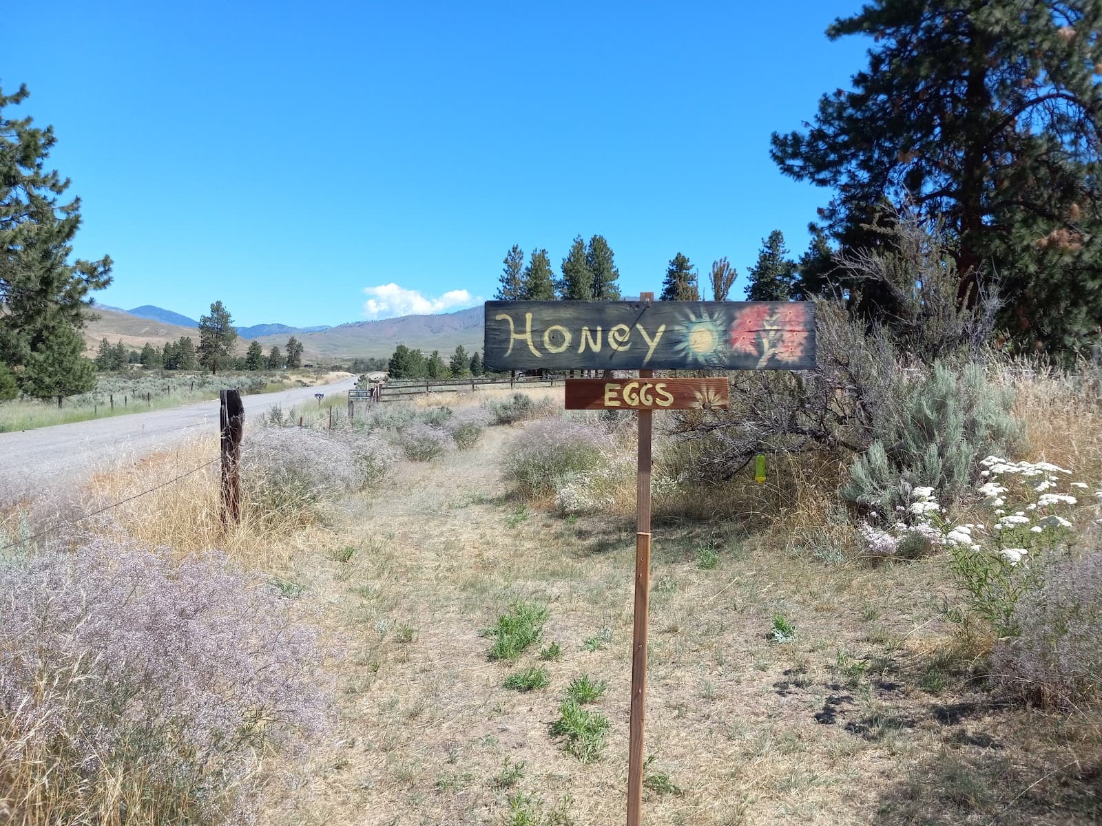 Blumbees Apiary - Image 1