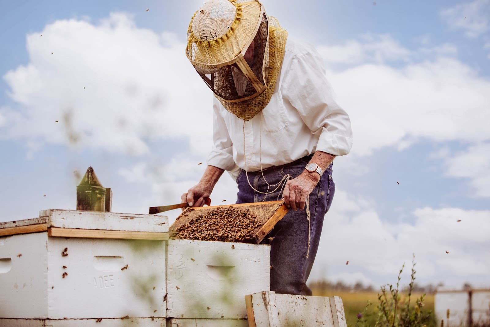 Adee Honey Farms - Image 1
