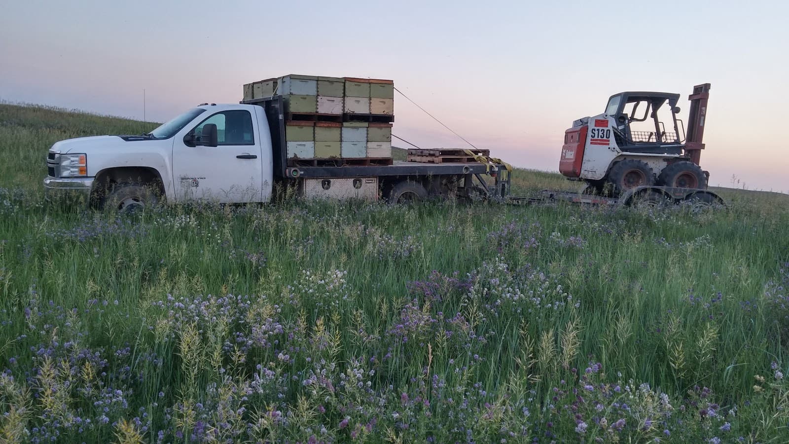 CA Valley Bees Inc. - Image 1