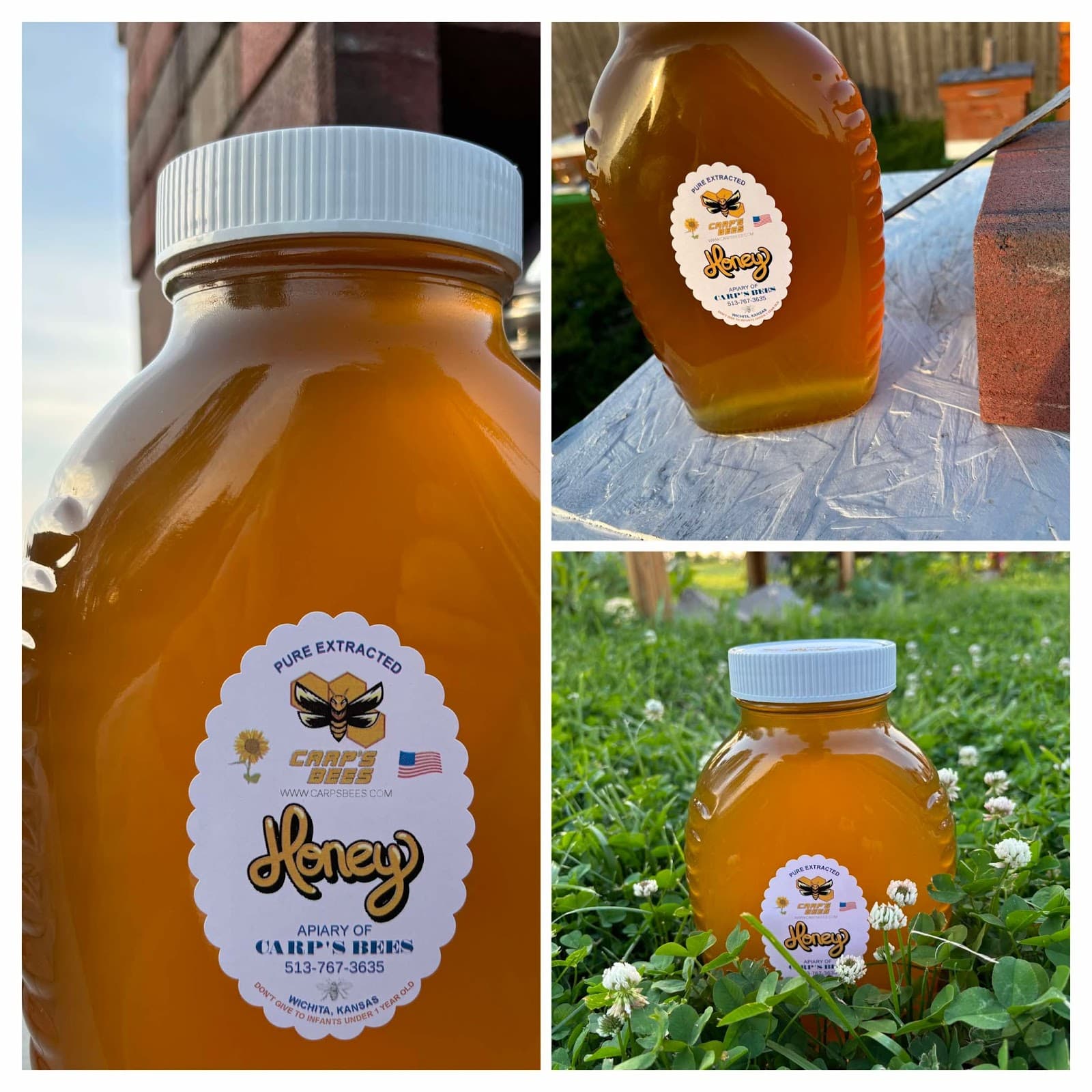 Carp's Bees Local Honey, Beekeeping, & Apiary - Image 1