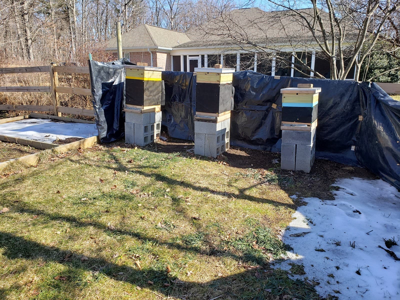 Daffodil Hill Apiary and Honey Extraction Service - Image 1
