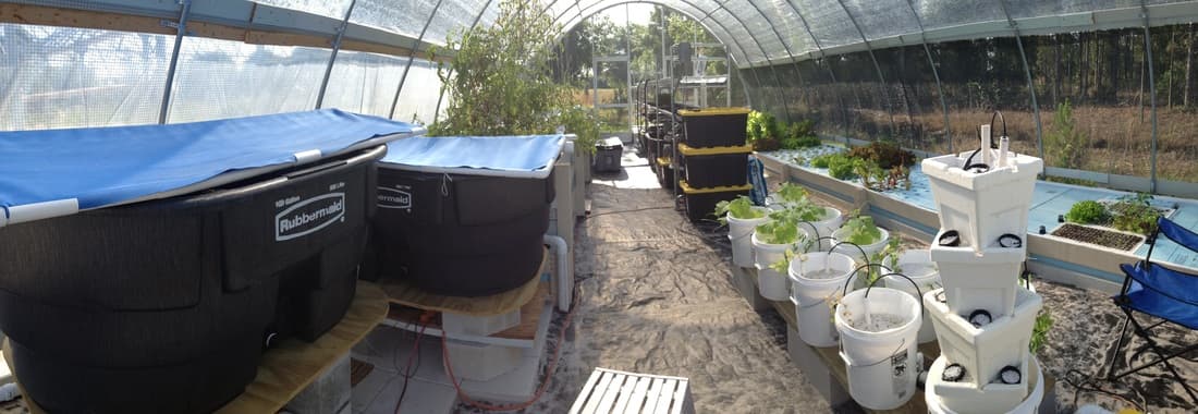 GreenView Aquaponics Family Farm and Apiary - Image 1