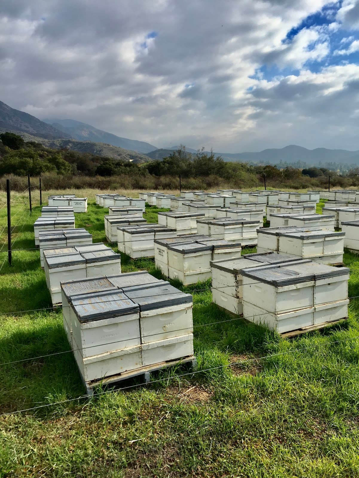 Harris Family Apiaries Bee Location - Image 1