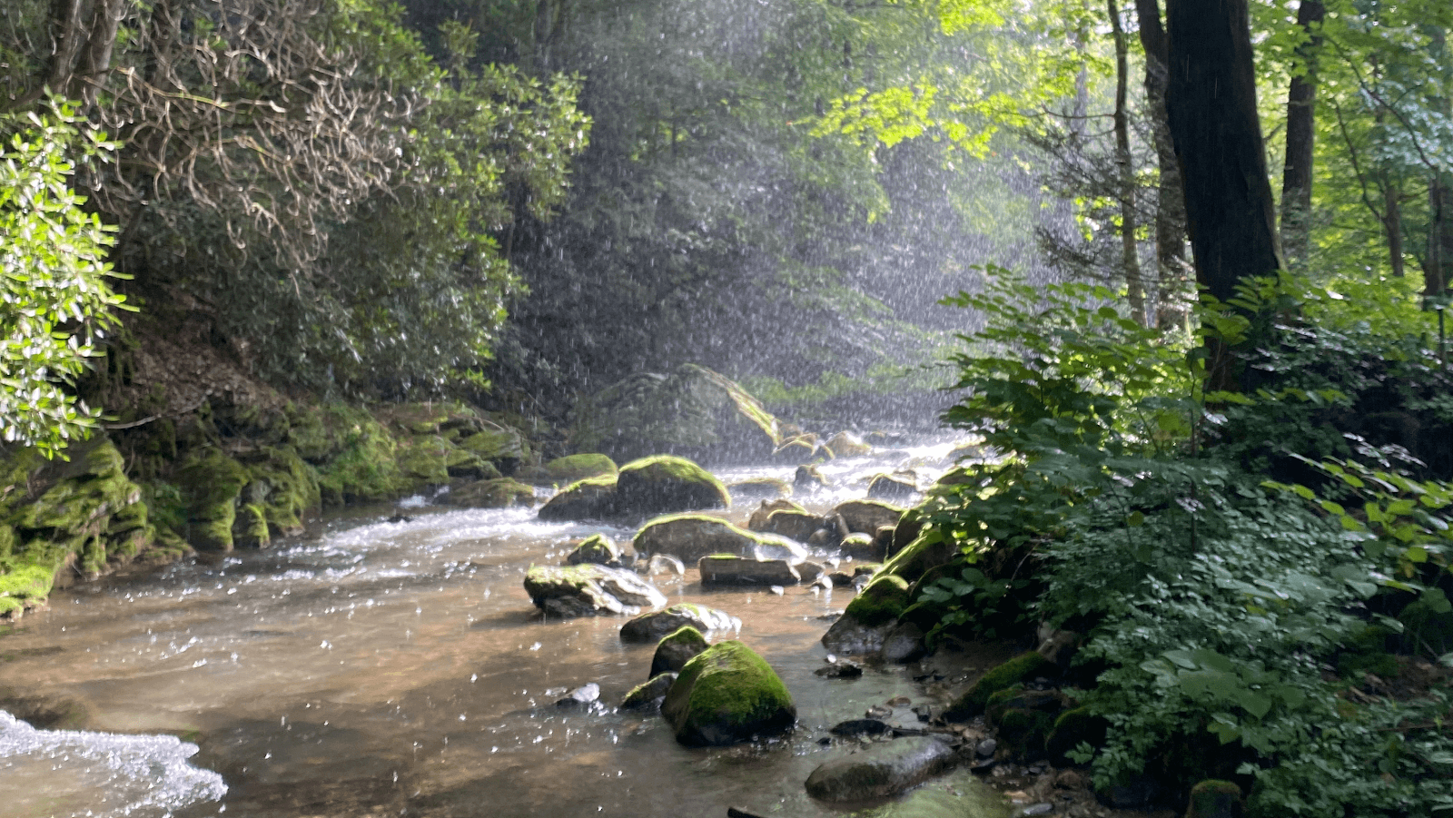 Hooker Hollow Gardens and Apiary - Image 1