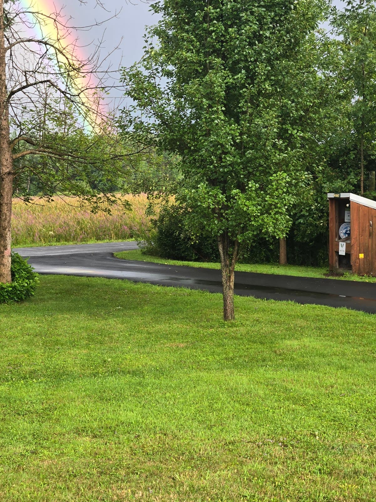 Riches Apiary - Image 1