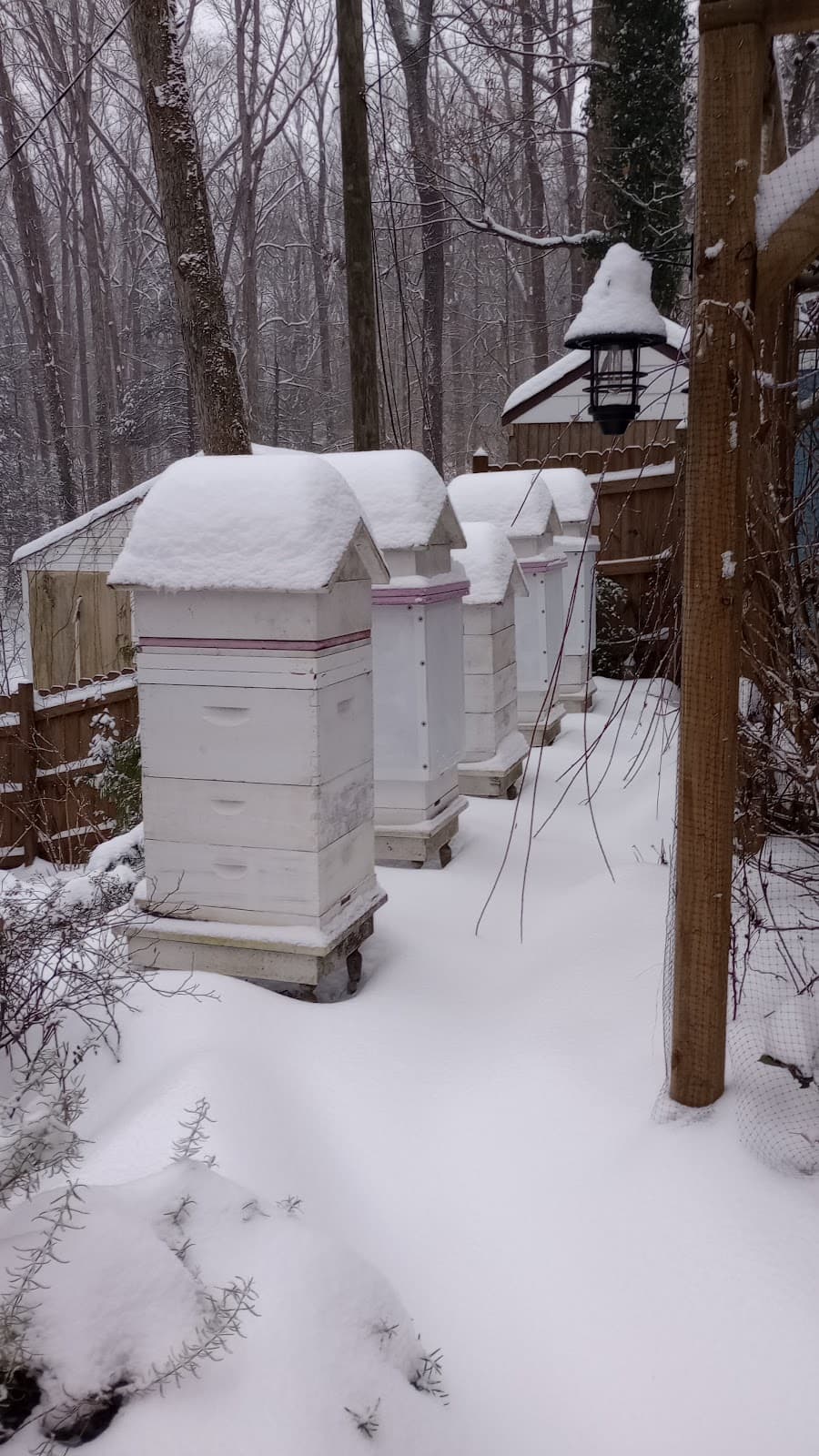 Waterside Cottage Garden and Apiary