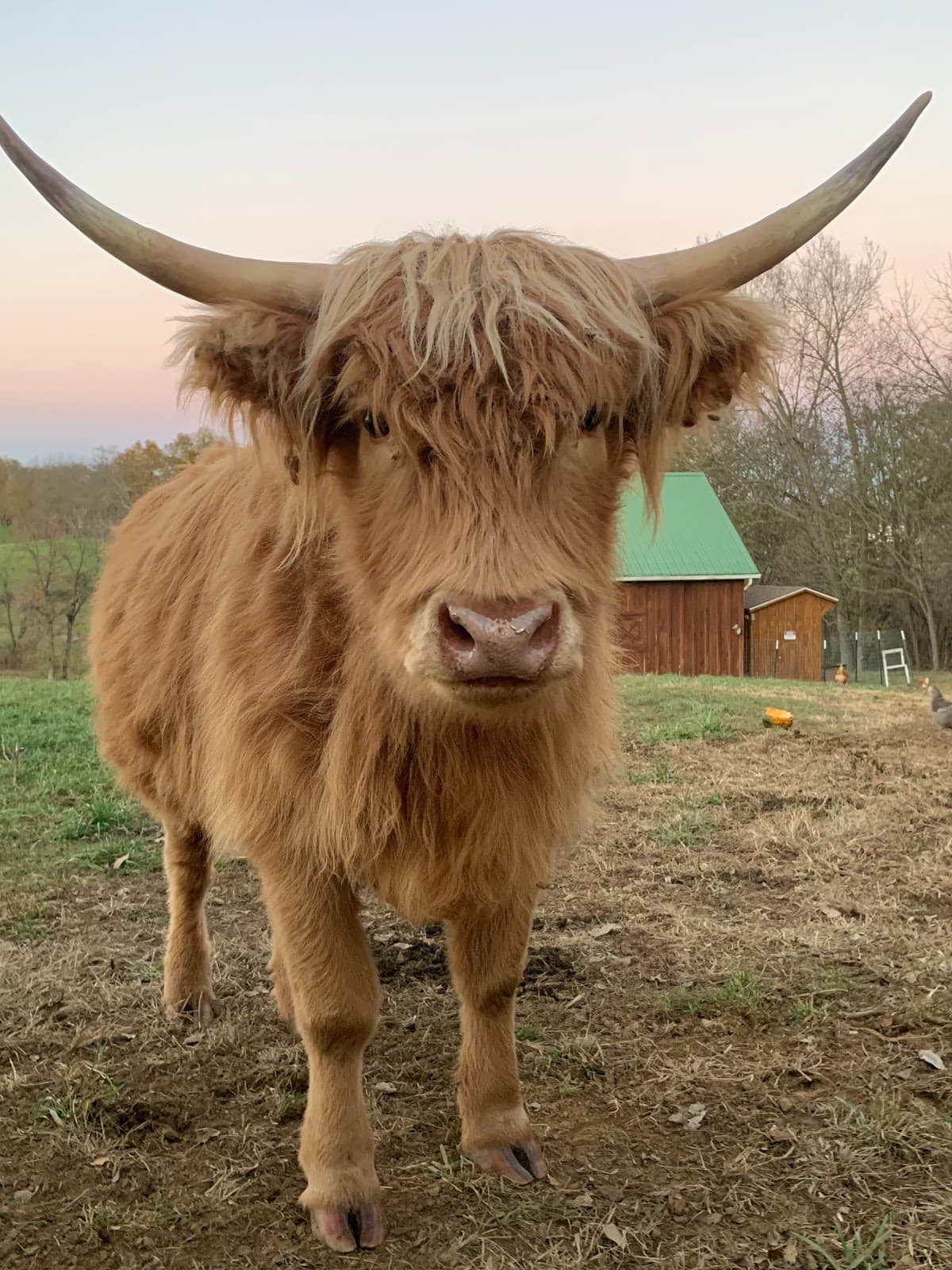 Basking Bee Farm - Image 1