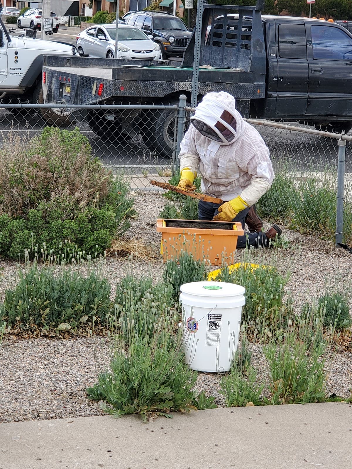 Bear Canyon Honey Co - Image 1